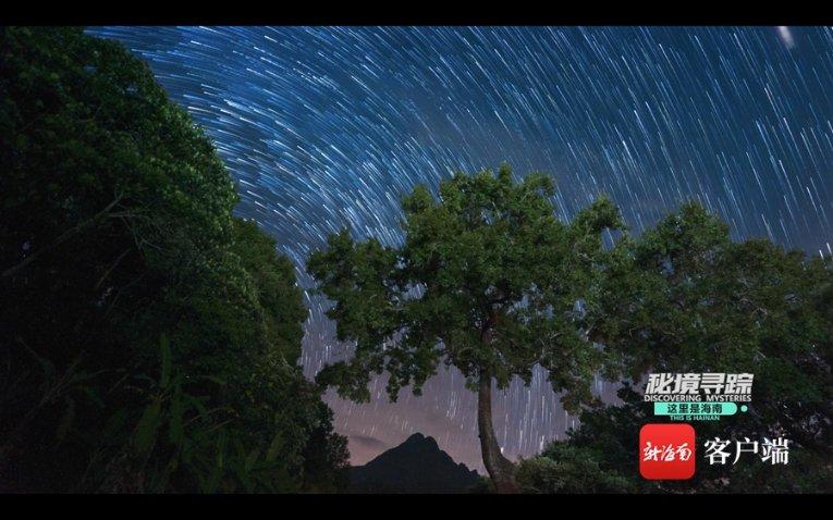 荒岛枪训