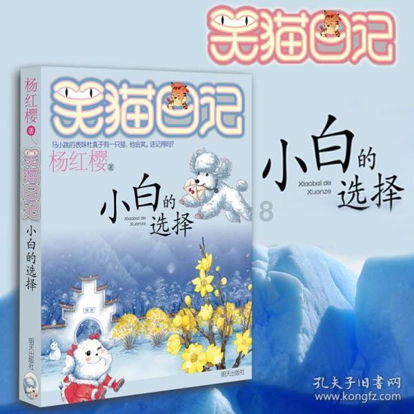 小熊猫足球冒险