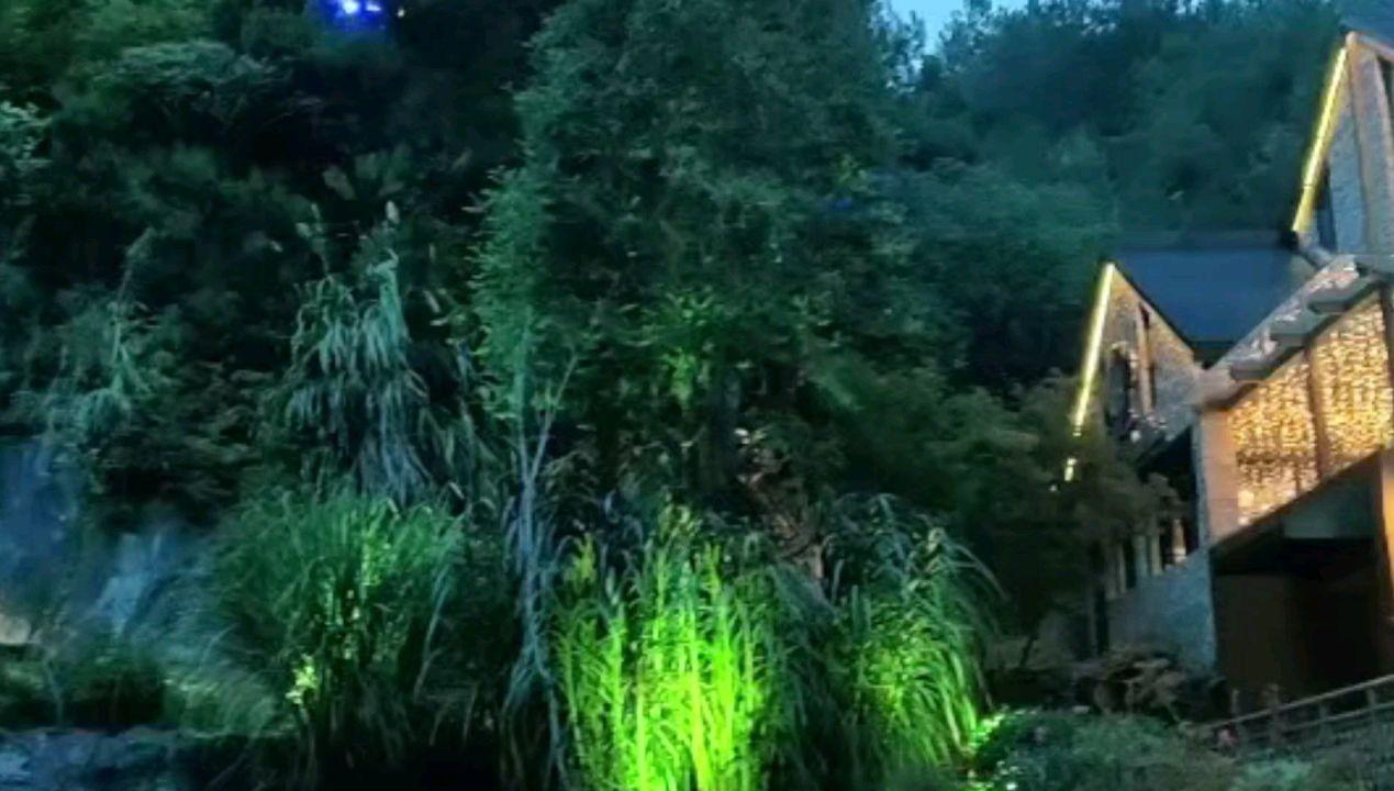 翻转吧，苹果虫