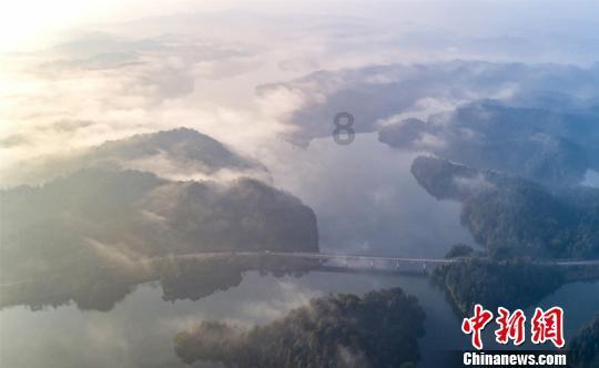 水果时尚风格
